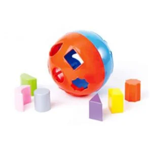 Bolon didactico