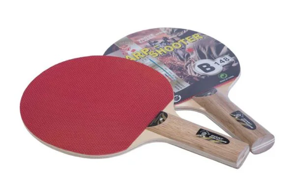 Paleta de Ping Pong GIANT DRAGON 1 estrella