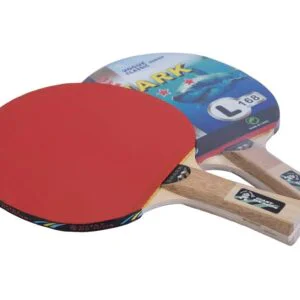 Paleta de Ping Pong GIANT DRAGON 2 estrellas