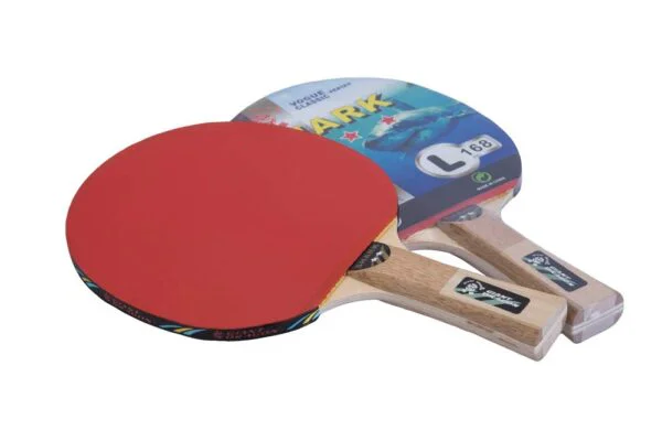 Paleta de Ping Pong GIANT DRAGON 2 estrellas