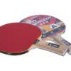 Paleta Ping Pong GIANT DRAGON 3 estrellas