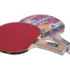 Paleta Ping Pong GIANT DRAGON 3 estrellas