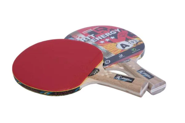 Paleta de Ping Pong GIANT DRAGON 3 estrellas