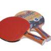Paleta Ping Pong GIANT DRAGON 4 estrellas, ITTF