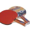 Paleta de Ping Pong GIANT DRAGON 4 estrellas  punt