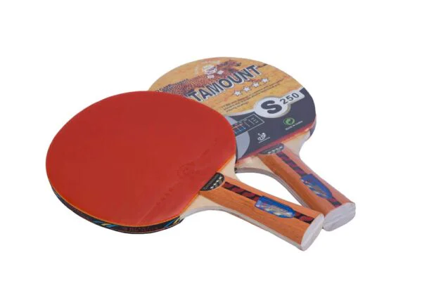 Paleta de Ping Pong GIANT DRAGON 4 estrellas  punt