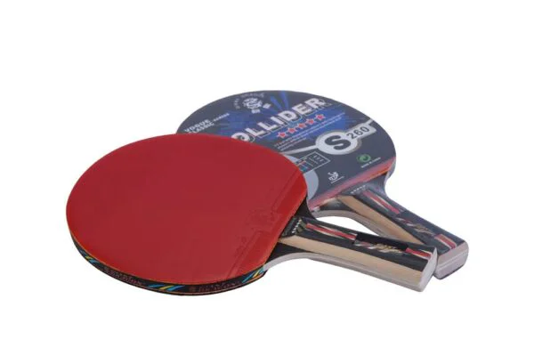 Paleta de Ping Pong GIANT DRAGON 5 estrellas  apro