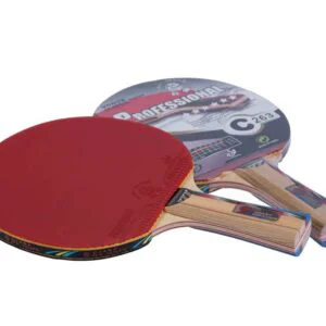 Paleta de Ping Pong GIANT DRAGON 6 estrellas  punt