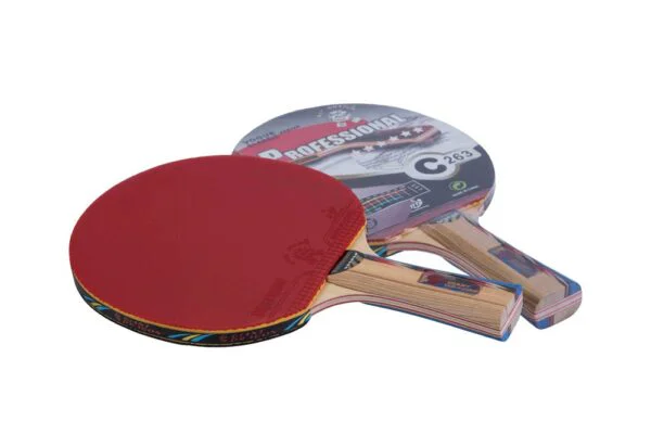 Paleta de Ping Pong GIANT DRAGON 6 estrellas  punt