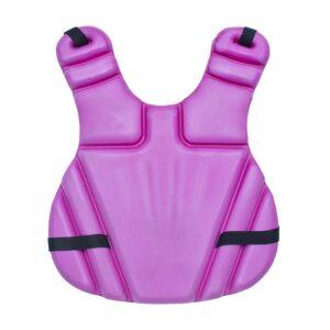 Pechera para arquero de hockey DRIAL