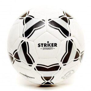 Pelota Fútbol Nº 5 STRIKER Dynasty Thermo 650