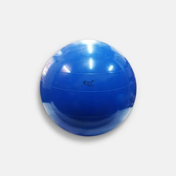 Pelota Gym Ball Ø55 cm  resistencia máx  150 kg  p