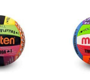 Pelota Voley MOLTEN 500