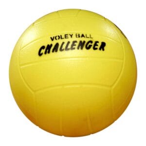 Pelota Voley PVC liviana