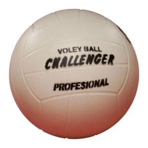 Pelota Voley PVC pesada