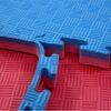 Tatami goma EVA reversible Profesional 100x100x2,5