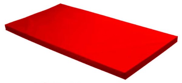 Colchoneta 100x50x4 cm  18 kg  funda Bagun