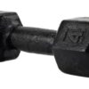 Mancuerna fija de fundición 4 kg, Negro